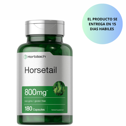 Horbäach , horsetail  de 800 mg | 180 unidades